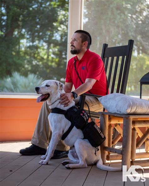 K9s For Warriors Reviews and Ratings from Donors .